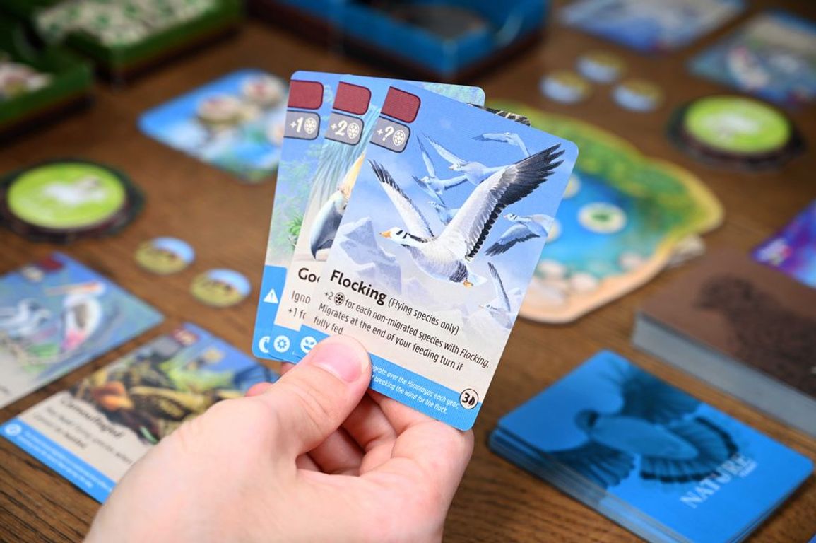 Nature: Flight cards