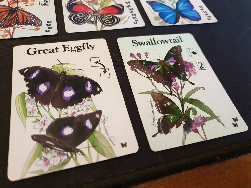 Fluttering Souls cards