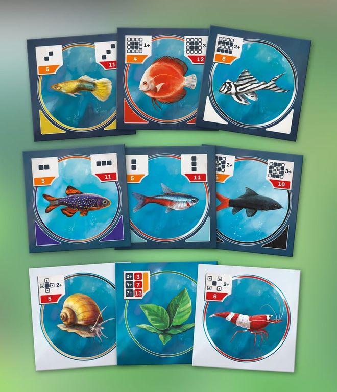 Fish Tank cartes