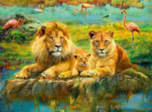 Lions dans la Savane