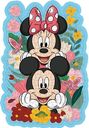 Mickey & Minnie