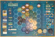 Dominant Species: Marine partes