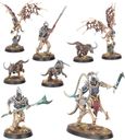 Warhammer Age of Sigmar: Warcry - Spine e Ossa miniature