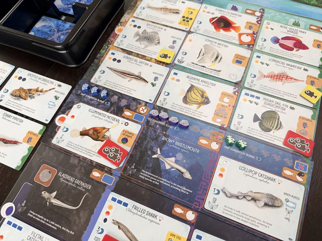 Finspan: Sharks & Reefs cards