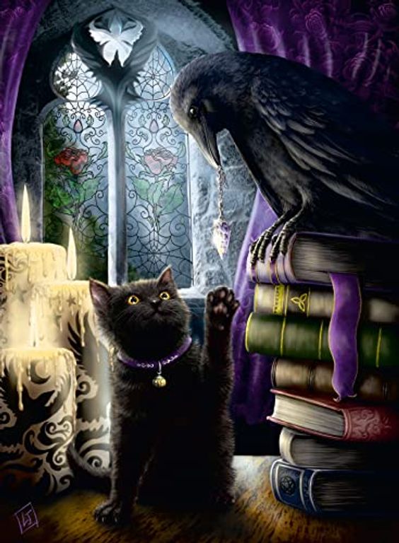 Cat and Raven