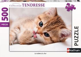 La Toilette du Chat