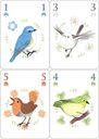 Songbirds cartes