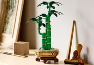 LEGO® Botanicals Lucky Bamboo