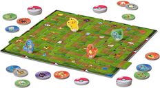 Pokémon Labyrinth components