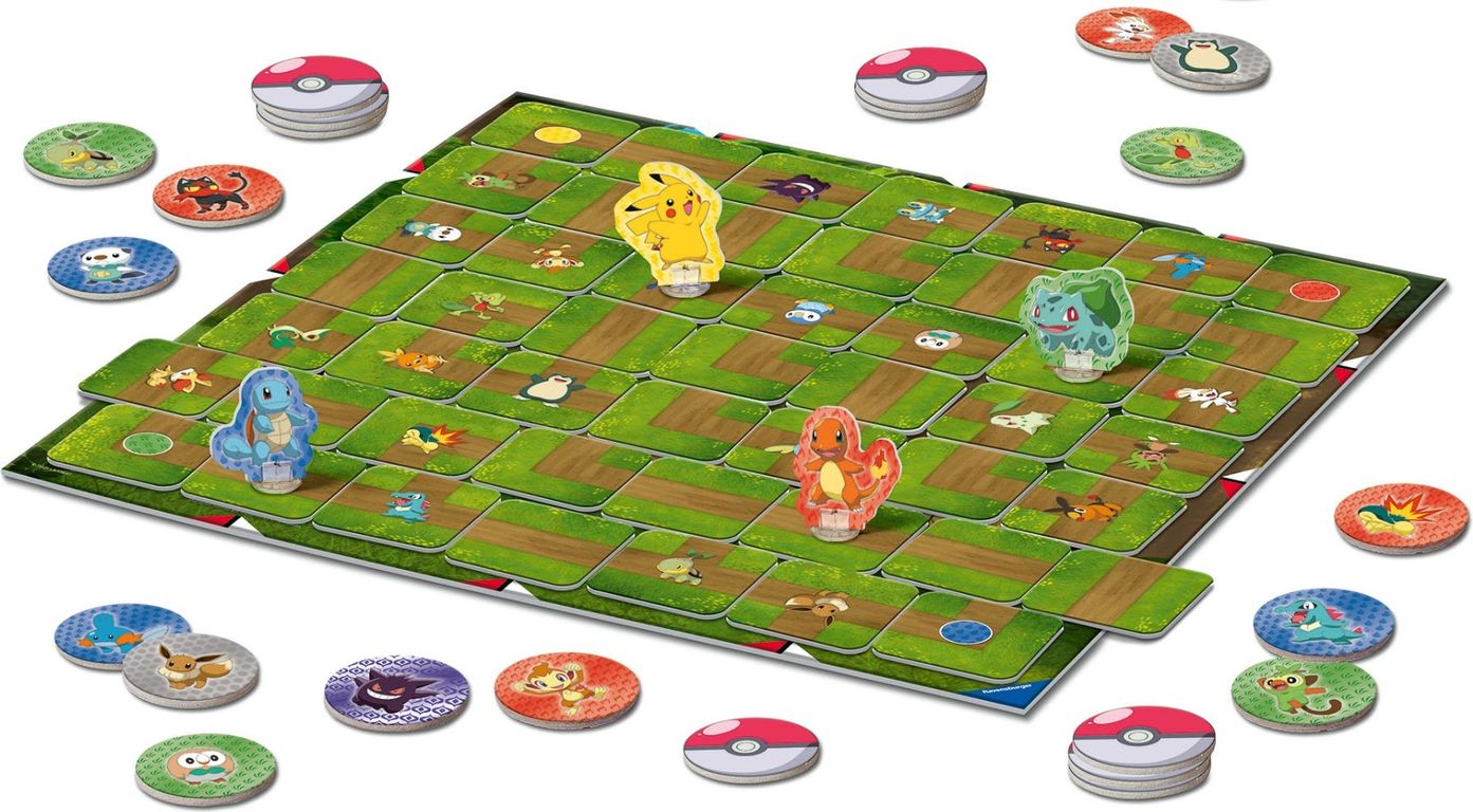 Pokémon Labyrinth components