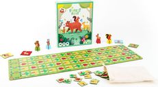 Forest First components