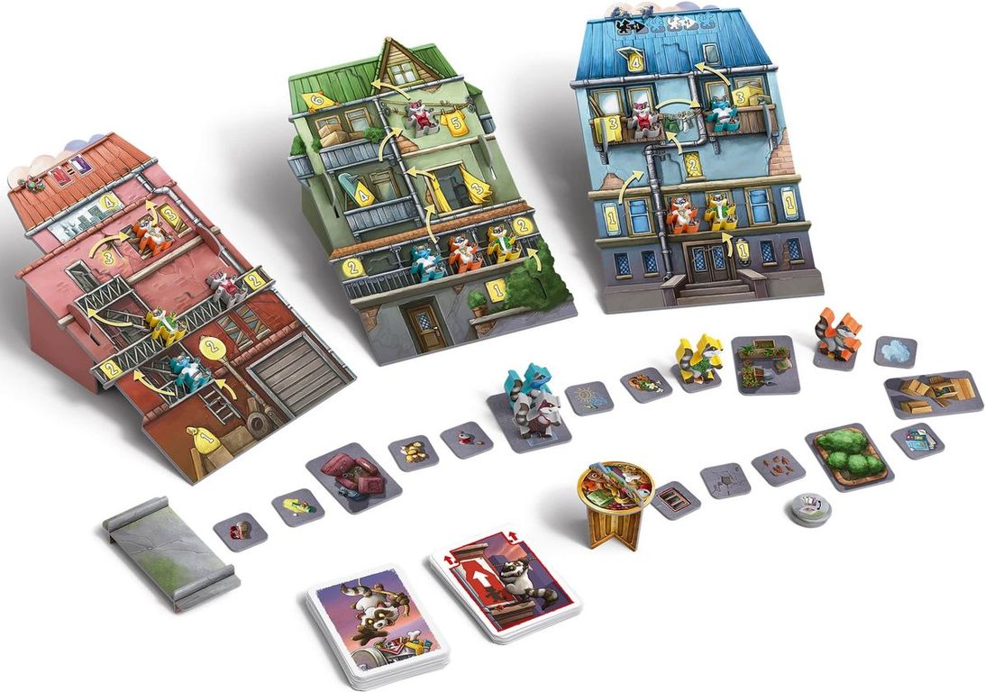 Raccoon Robbers components