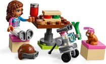 LEGO® Friends Heartlake City Airplane Tour components