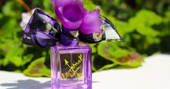 Vera Wang Lovestruck Floral Rush Eau de parfum