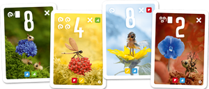 Pixies: Flower Power cartas