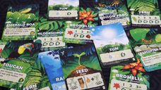 Canopy cards