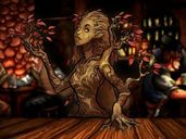 The Red Dragon Inn: Allies - Erin the Ever-Changing