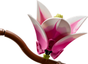 LEGO® Botanicals Magnolia Branches
