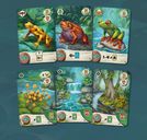 Pondscape cartas