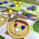 Vineyard: A Winemaking Game komponenten
