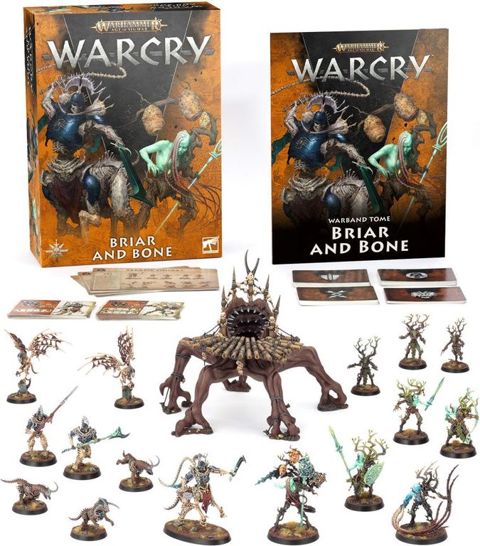 Warhammer Age of Sigmar: Warcry - De Ronce et d'Os composants