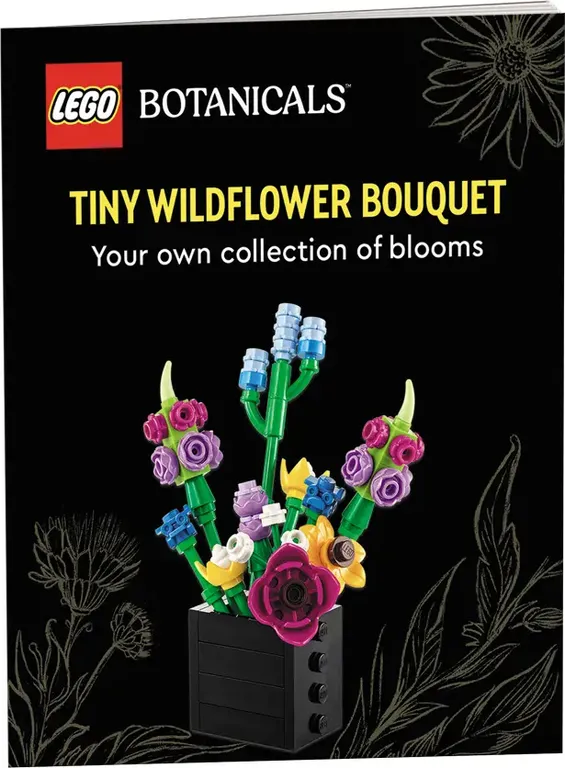 LEGO® Botanicals Tiny Desert Garden book