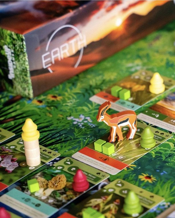 Earth: Animal Kingdom box