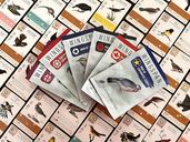Wingspan Fan-Designed Bird Packs (6 packs) box