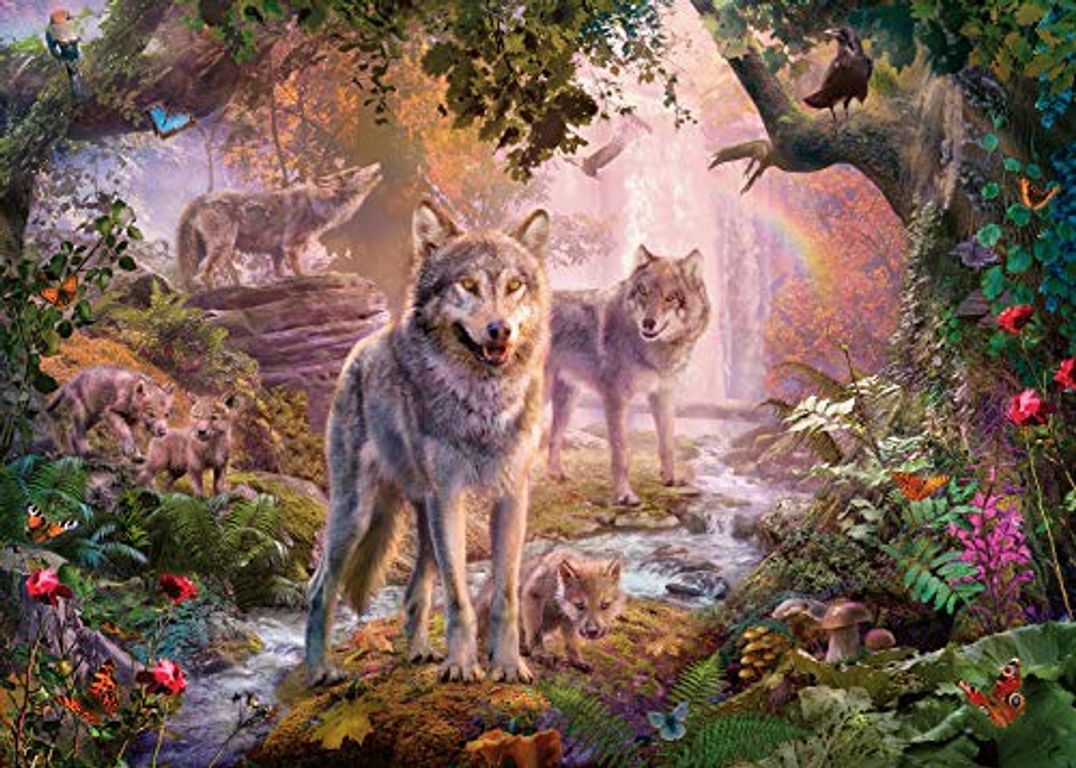 Wolfsfamilie im Sommer