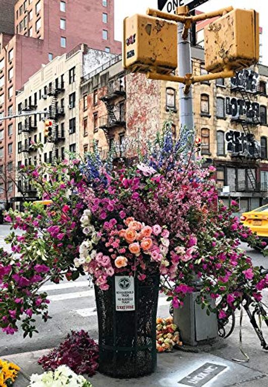 Fleurs à New York