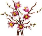 LEGO® Botanicals Magnolia Branches