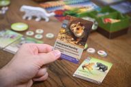 Nature: Climate cards