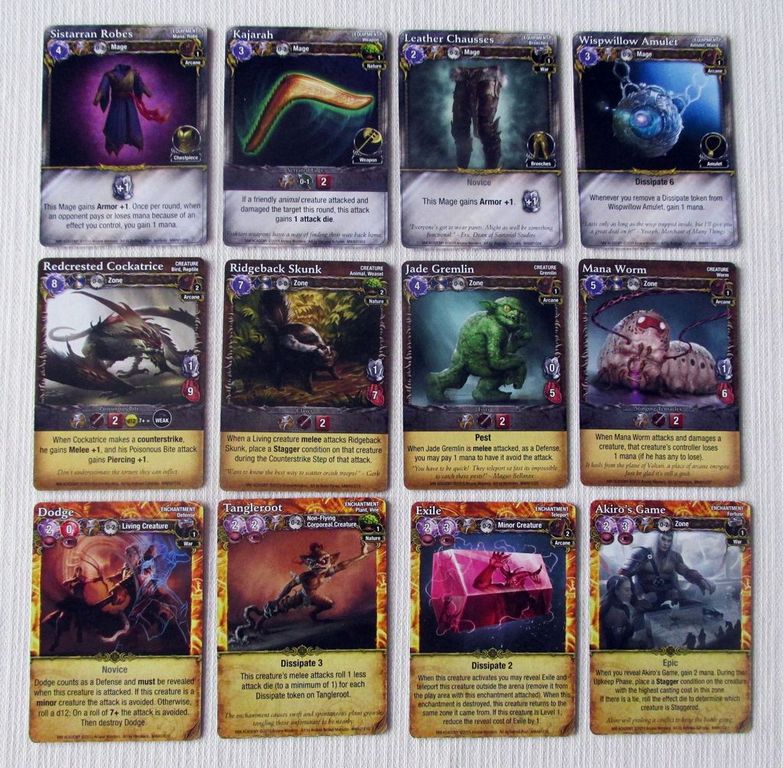 Mage Wars Academy cards