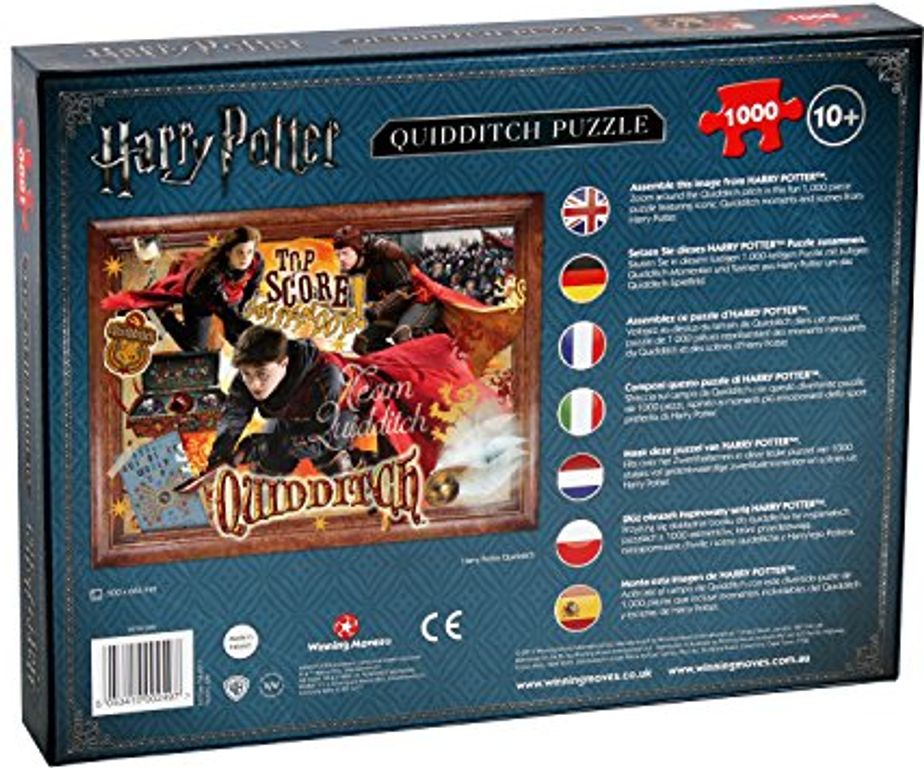Harry Potter: Quidditch back of the box