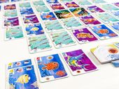 Fintastic Sea cards