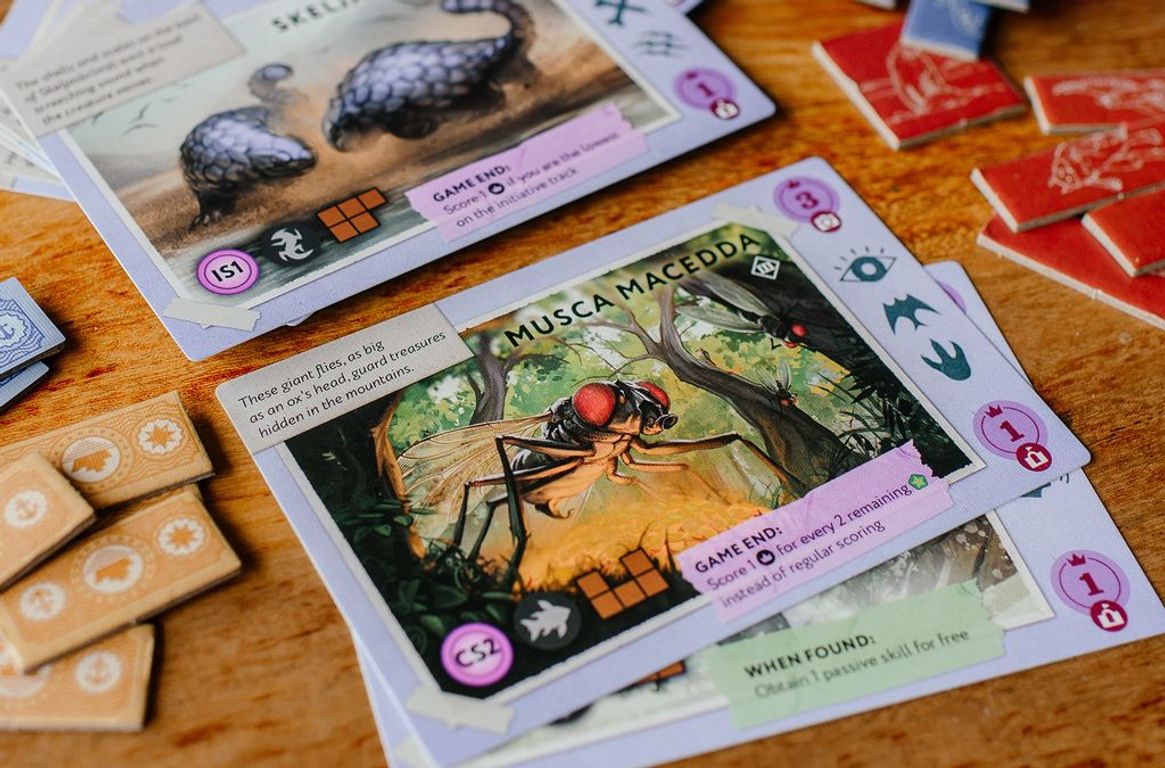 Cryptic Nature: Islands cards