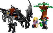 LEGO® Harry Potter™ Hogwarts™ Carriage and Thestrals components