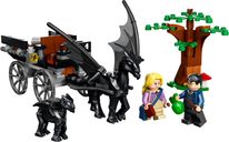 LEGO® Harry Potter™ Hogwarts™ Carriage and Thestrals componenti