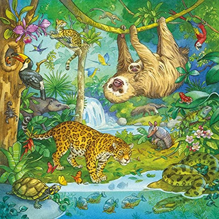 Jungle Animals