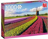 Field of Tulips