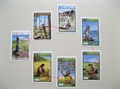 Rapa Nui cards