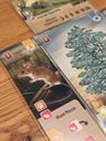 Forest Shuffle: Dartmoor animals