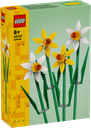 Daffodils