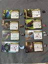 Life of the Amazonia: Mini-Expansion cards