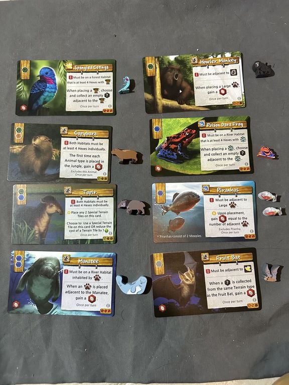 Life of the Amazonia: Mini-Expansion cards