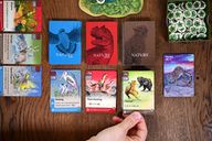 Nature: Flight cards