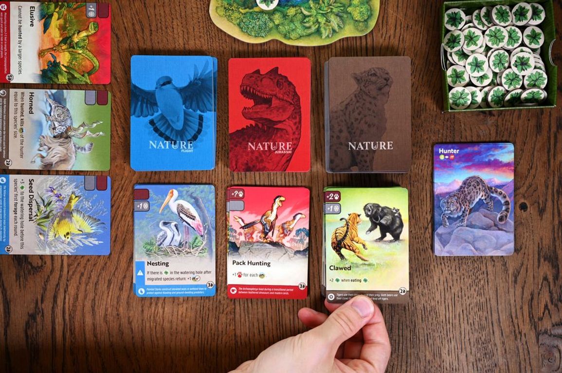 Nature: Flight cards