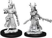 D&D Nolzur's Marvelous Miniatures - Female Human Druid miniaturas