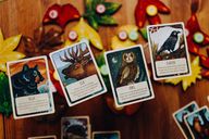 Leaf: Season of the Bear Expansion cartes