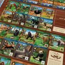 Zoo Tycoon: The Board Game cartes